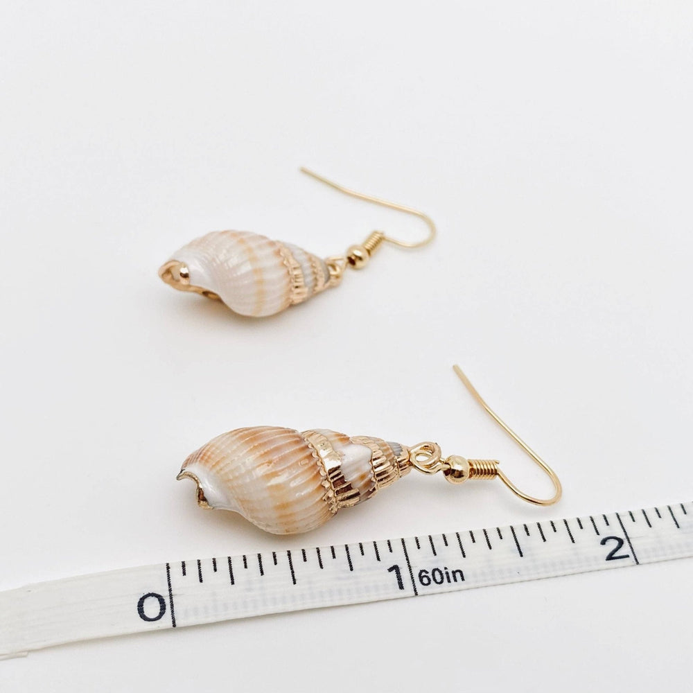 JewelryConch Shell Earrings