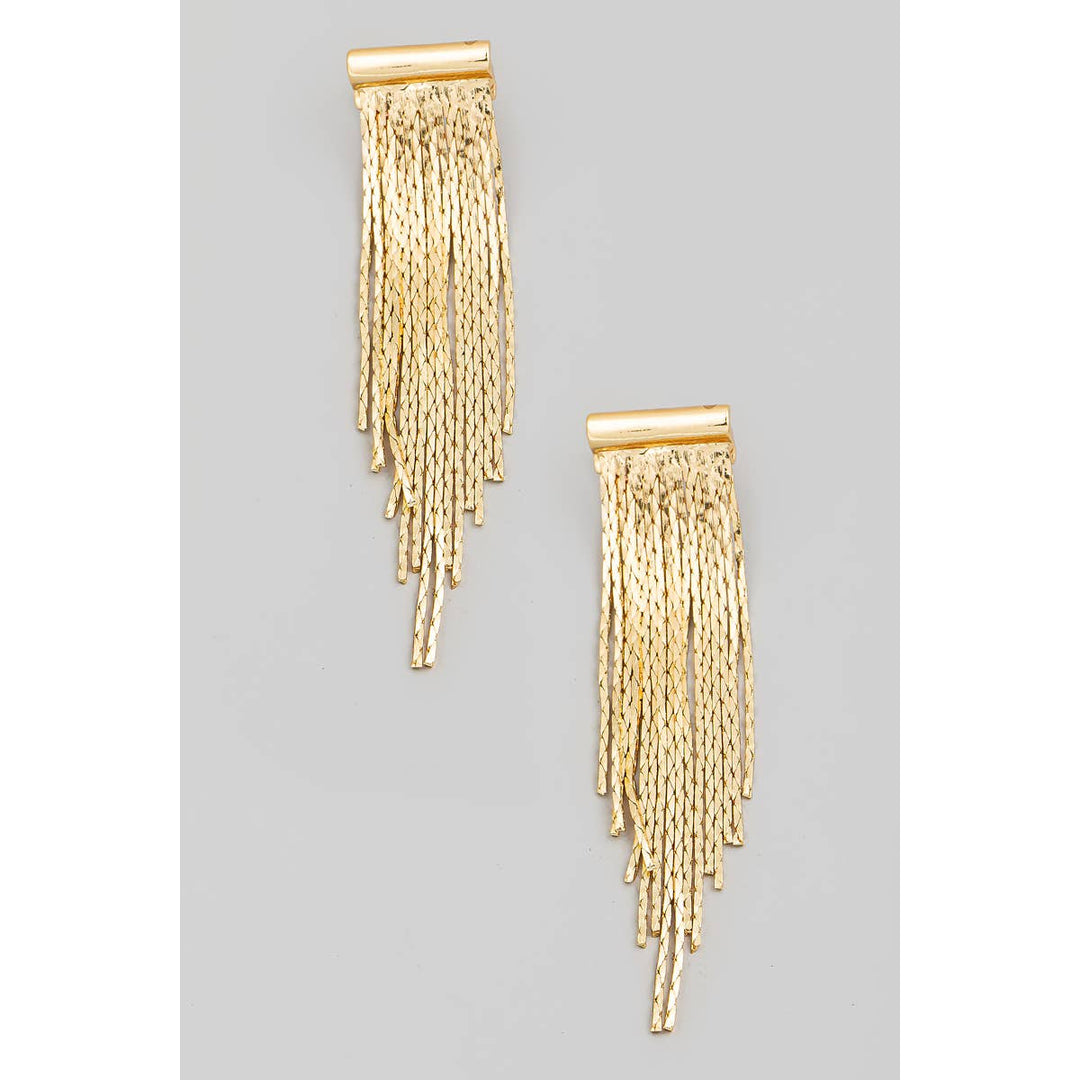 EarringsKeep Me Posted Fringe Earrings