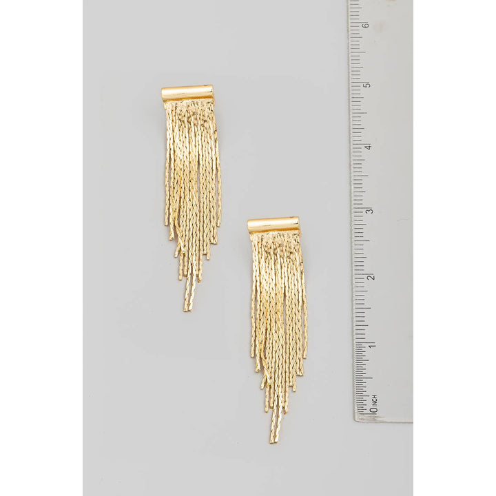 EarringsKeep Me Posted Fringe Earrings